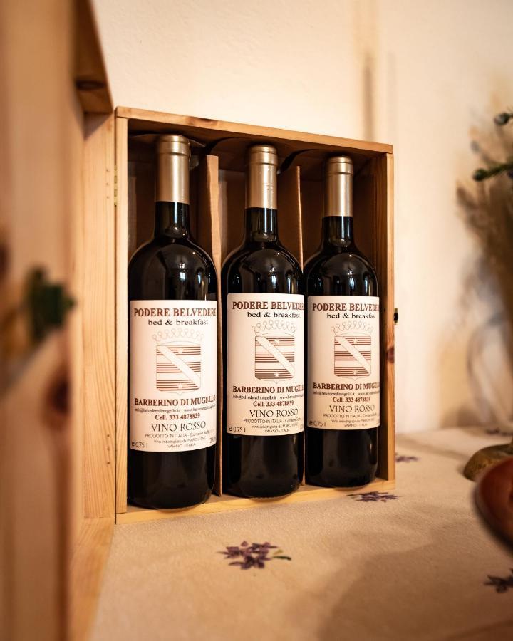 Podere Belvedere Barberino di Mugello Zewnętrze zdjęcie